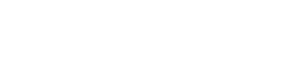 Nodus